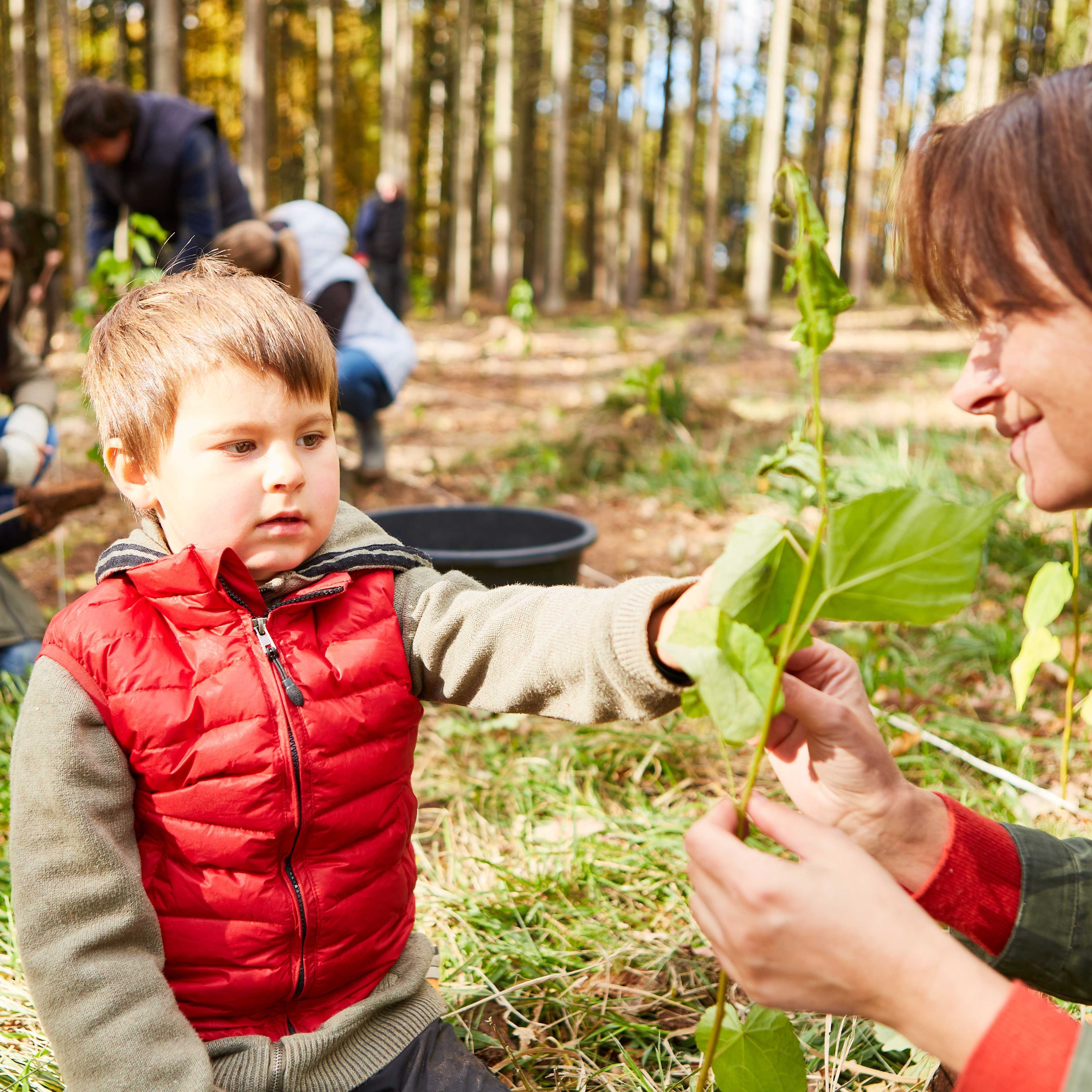 Forest School Assistant